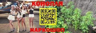 трава Краснодар