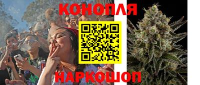 трава Краснодар