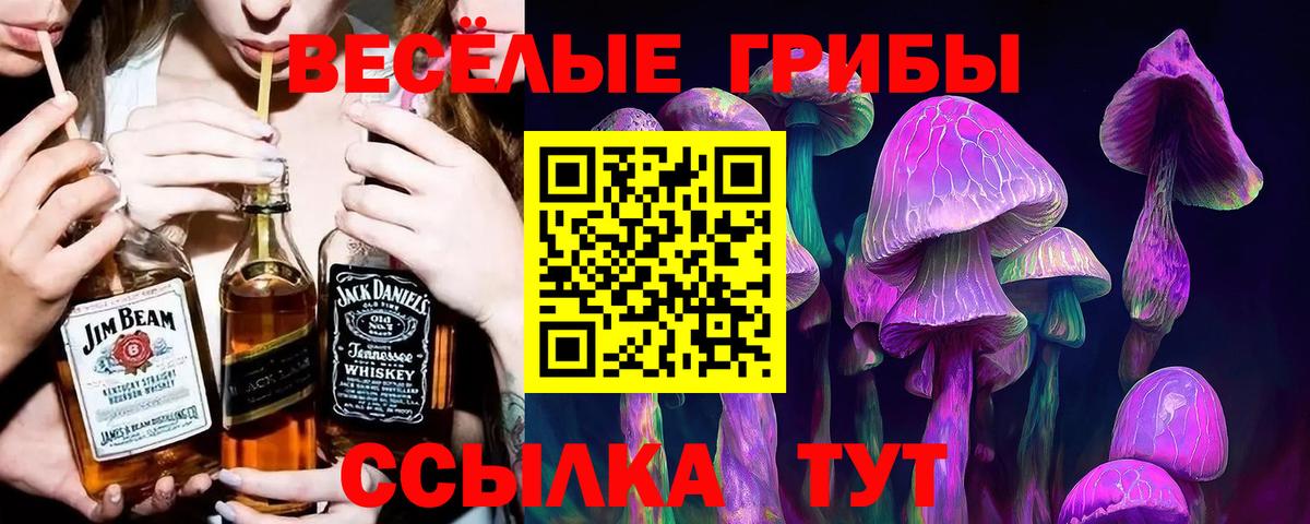 наркошоп  Галлюциногенные грибы GOLDEN TEACHER  Вход с VPN  Еманжелинск  Галлюциногенные грибы Cubensis 