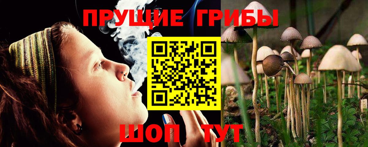 Галлюциногенные грибы Magic Shrooms Еманжелинск